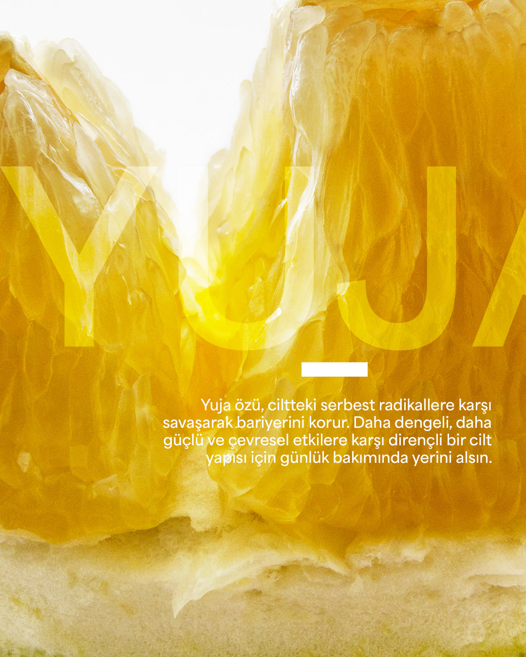 CREASE PLUS - YUJA klärendes & aufhellendes Gesichtsreinigungspuder 12 g